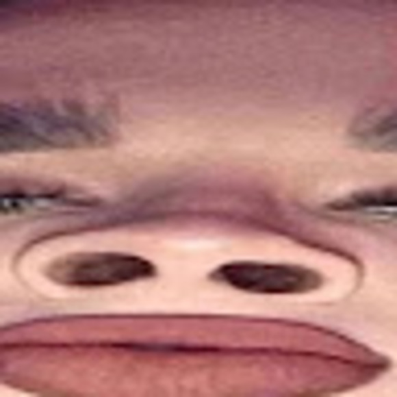 Meet your Posher, Kim - Picture 1 of 1